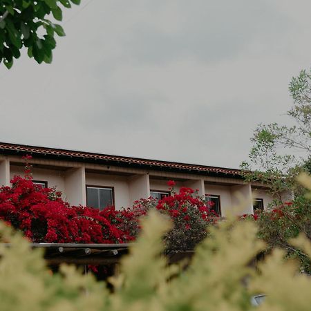 ホテル Pousada Primavera Mucugê エクステリア 写真